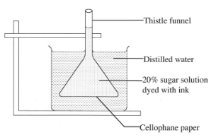 Biology Paper 1 Question Paper - KCSE 2014