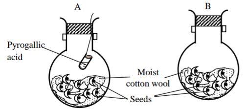 Biology Paper 1 Question Paper - 2015 KCSE Machakos County Trial