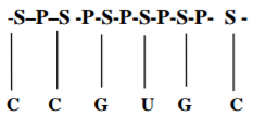 Biology Paper 1 Question Paper - 2015 KCSE Machakos County Trial