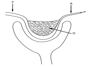 Biology Paper 1 Question Paper - 2015 KCSE Machakos County Trial