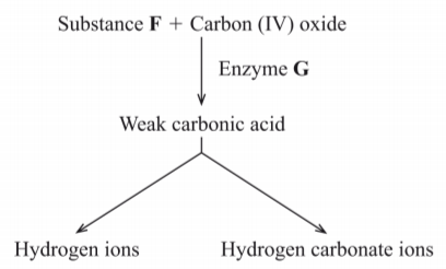 Biology Paper 2 Question Paper - KCSE 2014