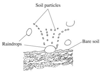 Agriculture Paper 1 Question Paper - KCSE 2014