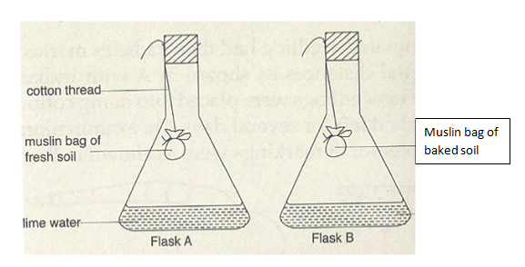 Biology Paper 1 Question Paper - Mock 2015 - Kabarak High School