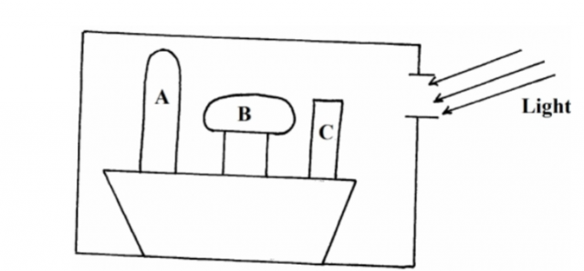 Biology Paper 1 Question Paper - 2014 EKSIKA Joint Evaluation Test