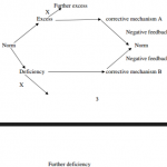 KNEC KCSE Biology Paper 2 - 2014 Cross Country Mock