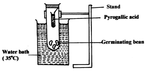 Biology Paper 2 Question Paper - 2014 EKSIKA Joint Evaluation Test