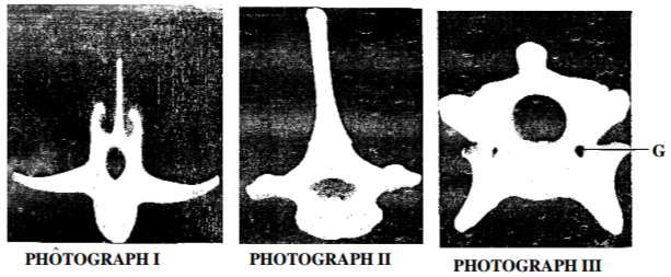 Biology Paper 3 Question Paper - 2014 KCSE COMA Joint Exam