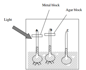 Biology Paper 2 Question Paper - 2014 Nakuru District Mock