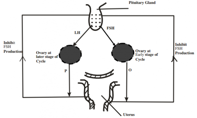 Biology Paper 2 Question Paper - 2014 Nakuru District Mock