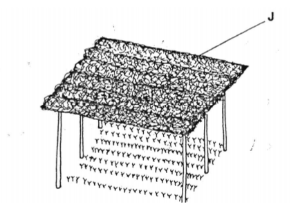 Agriculture Paper 1 Question Paper - 2014 Nakuru District Mock