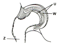 Biology Paper 2 Question Paper - 2015 KCSE Tharaka South Joint Examination