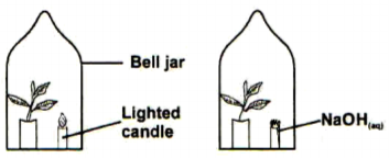 Biology Paper 1 Question Paper - 2015 KCSE Tharaka South Joint Examination