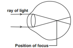 Biology Paper 1 Question Paper - 2015 KCSE Kericho West Joint Examination