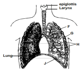 Biology Paper 1 Question Paper - 2015 KCSE Kericho West Joint Examination