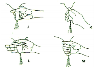 Agriculture Paper 2 Question Paper - 2015 KCSE Meru South Form 4 Joint Examination