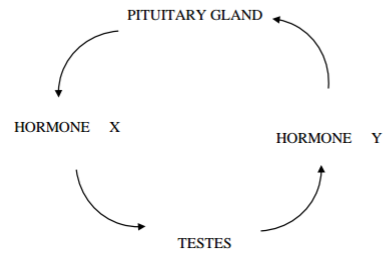 Biology Paper 1 Question Paper - 2016 KASSU JET JOINT EXAMINATION