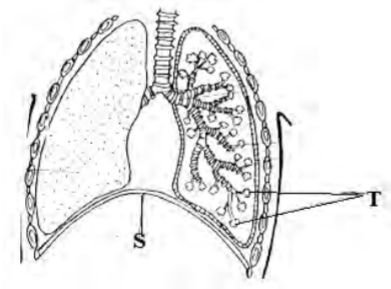 Biology Paper 1 Question Paper - 2016 KASSU JET JOINT EXAMINATION