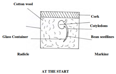 Biology Paper 1 Question Paper - 2016 KASSU JET JOINT EXAMINATION