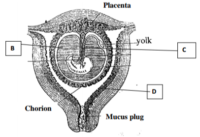 Biology Paper 2 Question Paper - 2016 KASSU JET JOINT EXAMINATION