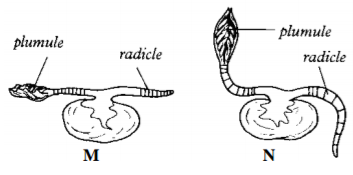 Biology Paper 1 Question Paper - 2016 KCSE MOKASA Joint Examination