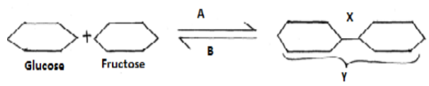 Biology Paper 1 Question Paper - 2016 KCSE MOKASA Joint Examination