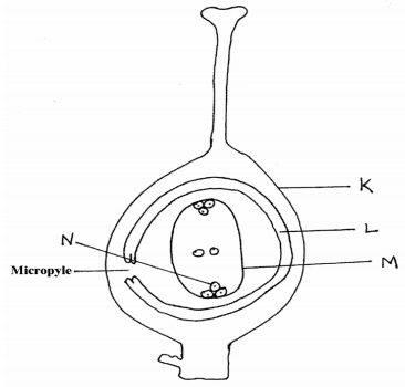 Biology Paper 2 Question Paper - 2016 KCSE KAMDARA JET Examination