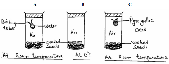 Biology Paper 2 Question Paper - 2016 KCSE KAMDARA JET Examination