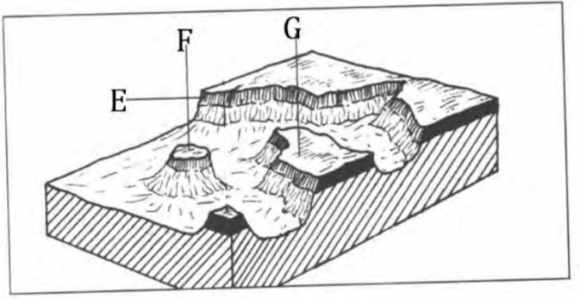 Geography Paper 1 Question Paper - 2016 KCSE KAMDARA JET Examination