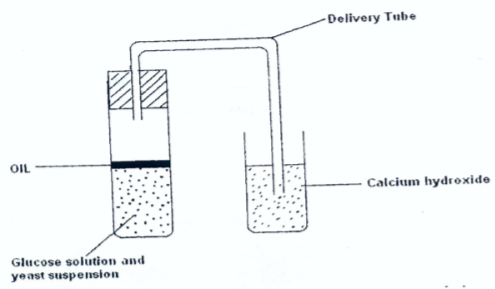 Biology Paper 2 Question Paper - 2016 KCSE MOKASA Joint Examination