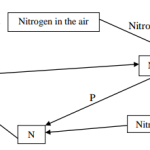 KNEC KCSE Biology Paper 1 Question Paper / 2016 KCSE 4MCK Joint Exam