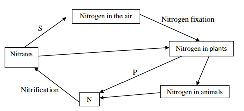 Biology Paper 1 Question Paper - 2016 KCSE 4MCK Joint Exam