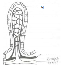 Biology Paper 2 Question Paper - 2016 KCSE 4MCK Joint Exam