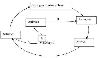 Biology Paper 1 Question Paper - 2016 Pre KCSE