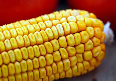 5 Tips For The Perfect Corn On The Cob - How To Cook It, When To Add Salt, And More!