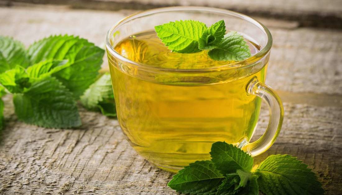 List Of Where To Buy Spearmint Tea In South Africa 2024 2025 Ugfacts   325242 1100 1100x628 