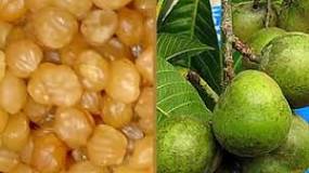 Image result for Where To Buy Akpi Seeds In South Africa