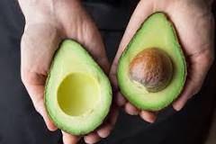 Image result for Where To Buy Avocado Trees In South Africa