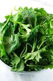 Image result for what is Kale