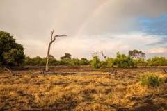 Image result for Where To Buy Land In South Africa
