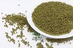 Image result for Where To Buy Mung Beans In South Africa