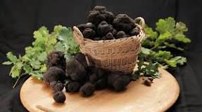 Image result for Where To Buy Truffles In South Africa