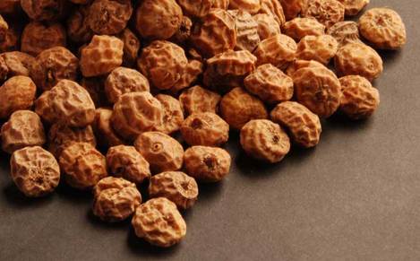 Tiger Nuts–Tiger Nuts for sale for Carp Fishing